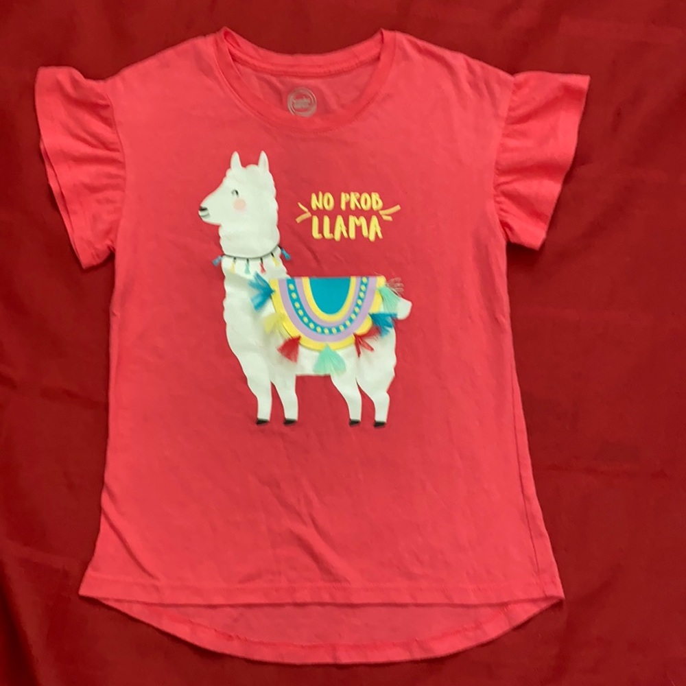 Girls graphic tee shirt